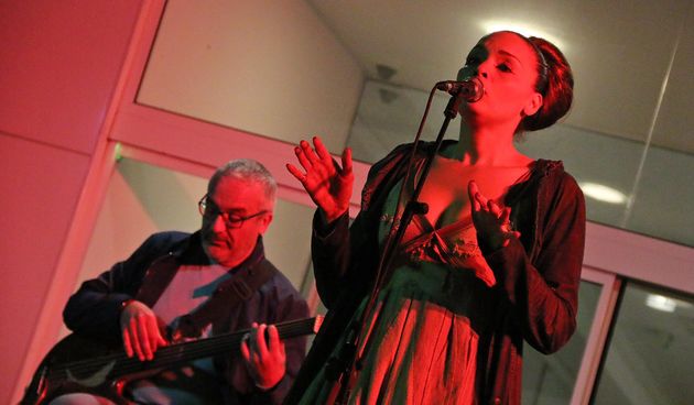 MAS: Koncert Matije Dedića i grupe Black Coffee, foto: eZadar