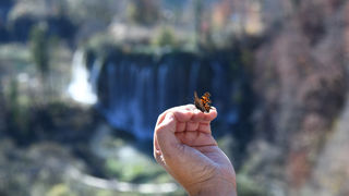 Boje jeseni na Plitvičkim jezerima