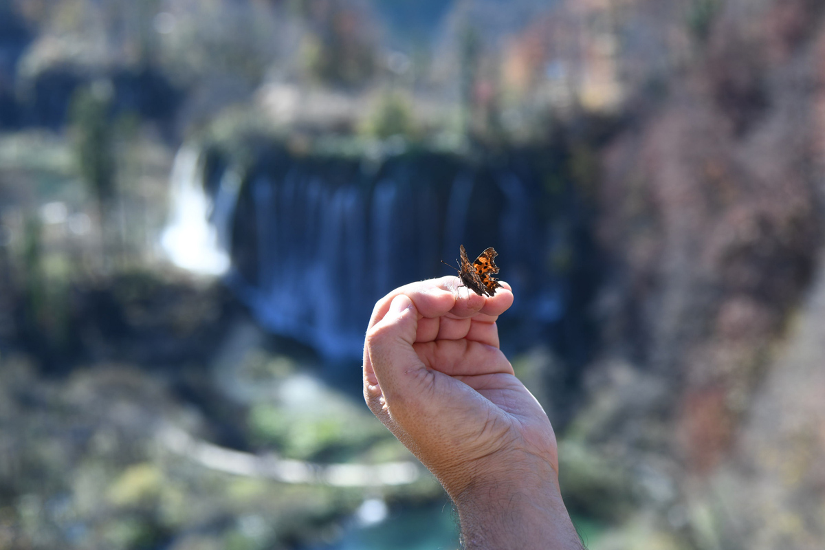 Boje jeseni na Plitvičkim jezerima