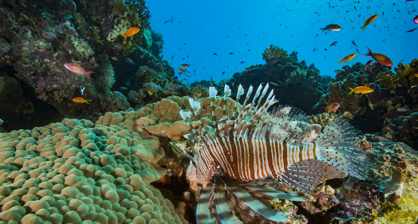 more podmorje more podmorje