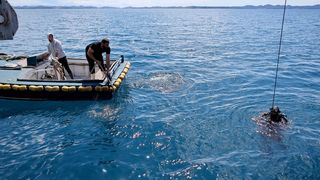 Ekološka manifestacija “Uz more, za more: zelena misija za održivu budućnost Hrvatske” održala se danas na plivarici Škoda koja je jutros u 11 sati isplovila iz zadarske luke Gaženica prema Ugljanu gdje će se provela akcija izvlačenja odbačenih ribarskih Ekološka manifestacija “Uz more, za more: zelena misija za održivu budućnost Hrvatske” održala se danas na plivarici Škoda koja je jutros u 11 sati isplovila iz zadarske luke Gaženica prema Ugljanu gdje će se provela akcija izvlačenja odbačenih ribarskih