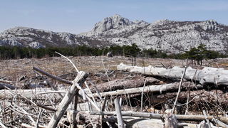 Veliko Rujno – Buljma – Struge