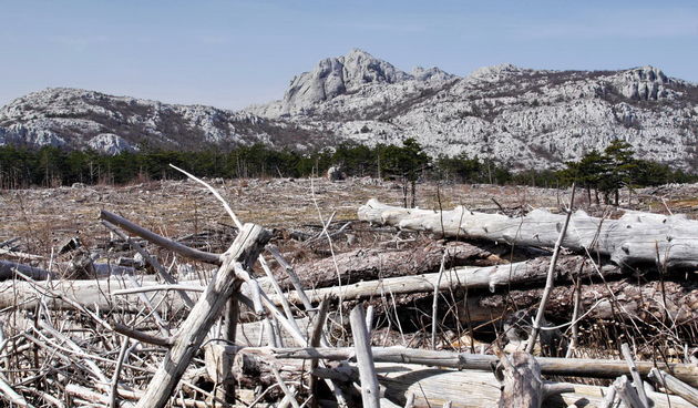 Veliko Rujno – Buljma – Struge