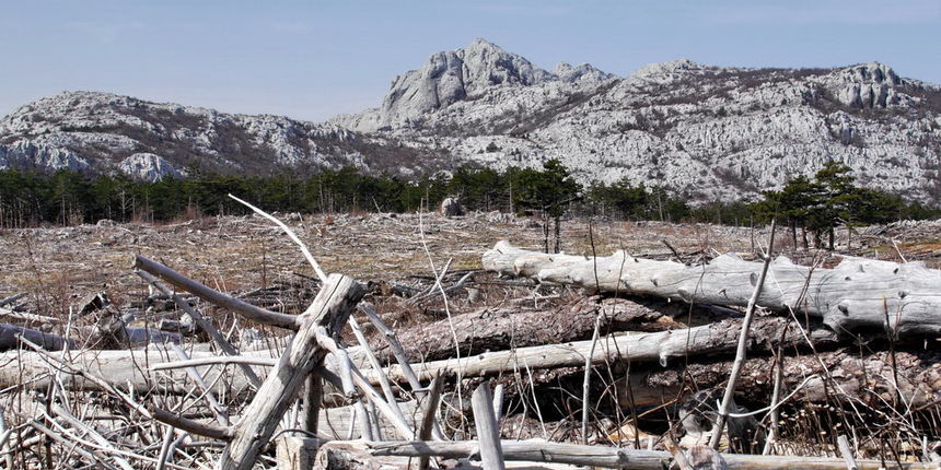 Veliko Rujno – Buljma – Struge