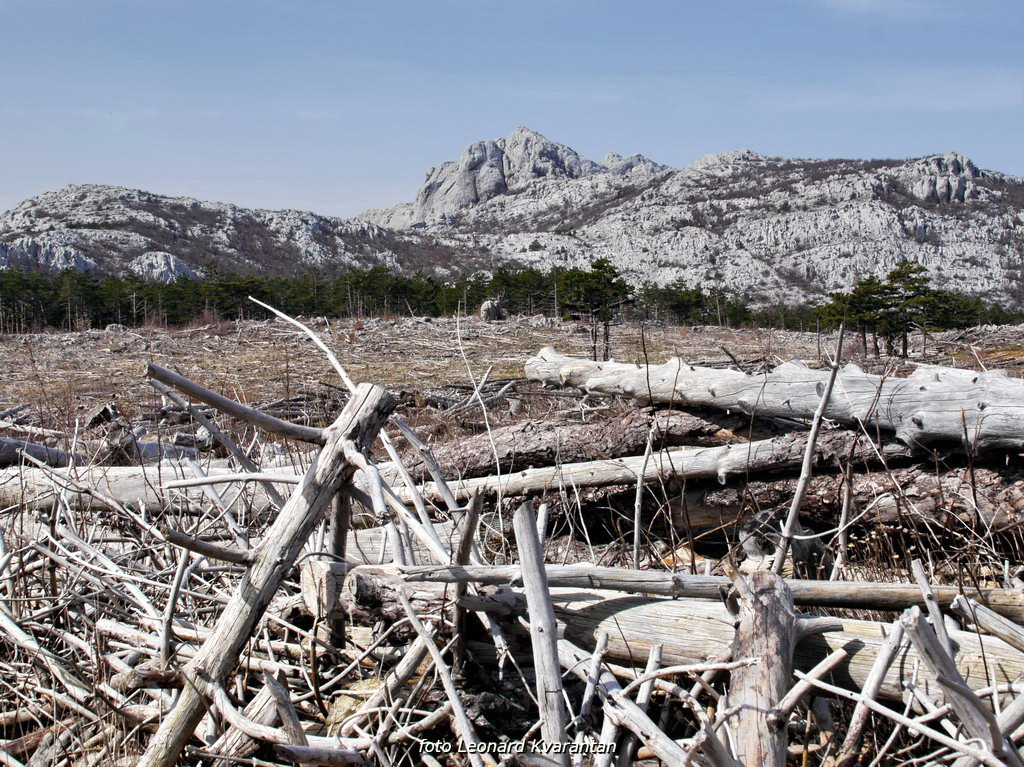 Veliko Rujno – Buljma – Struge
