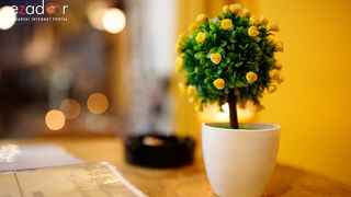 Večernji đir po gradu 30. srpnja 2019.