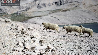 Metajna: Pag Island Star Trekk- Life on Mars Edition Metajna: Pag Island Star Trekk- Life on Mars Edition