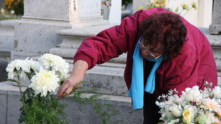 Gradsko groblje u Zadru u susret blagdanu Svih svetih