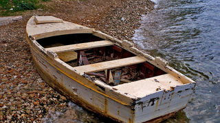 Image 1194609 (auto)