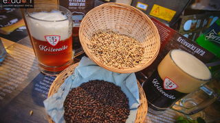 Zadar Craft Beer festival 2017 na zadarskoj rivi Zadar Craft Beer festival 2017 na zadarskoj rivi