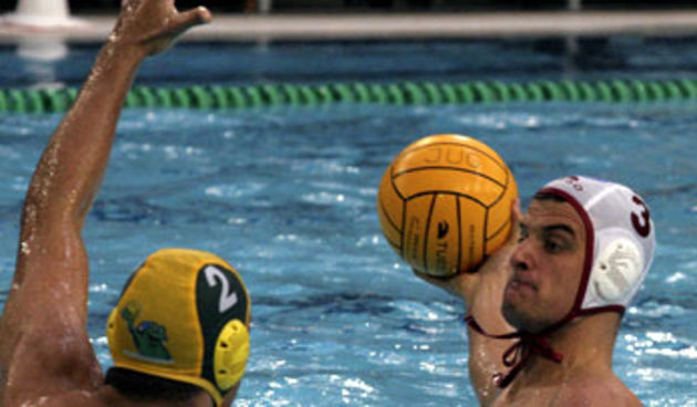 Image 1206159 (auto)