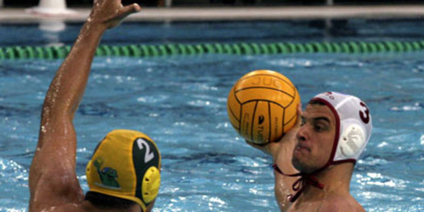 Image 1206159 (auto) Image 1206159 (auto)