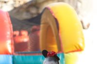 Dječji doček Nove godine na Božićnom gramofonu