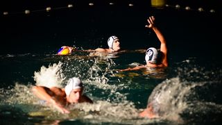 VAK”AN”ZA 31%, polufinale: Pinac Preko – Reptili 3-5 VAK”AN”ZA 31%, polufinale: Pinac Preko – Reptili 3-5