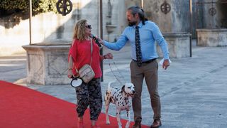 Red Carpet Dalmatian Walk @Trg pet bunara Red Carpet Dalmatian Walk @Trg pet bunara