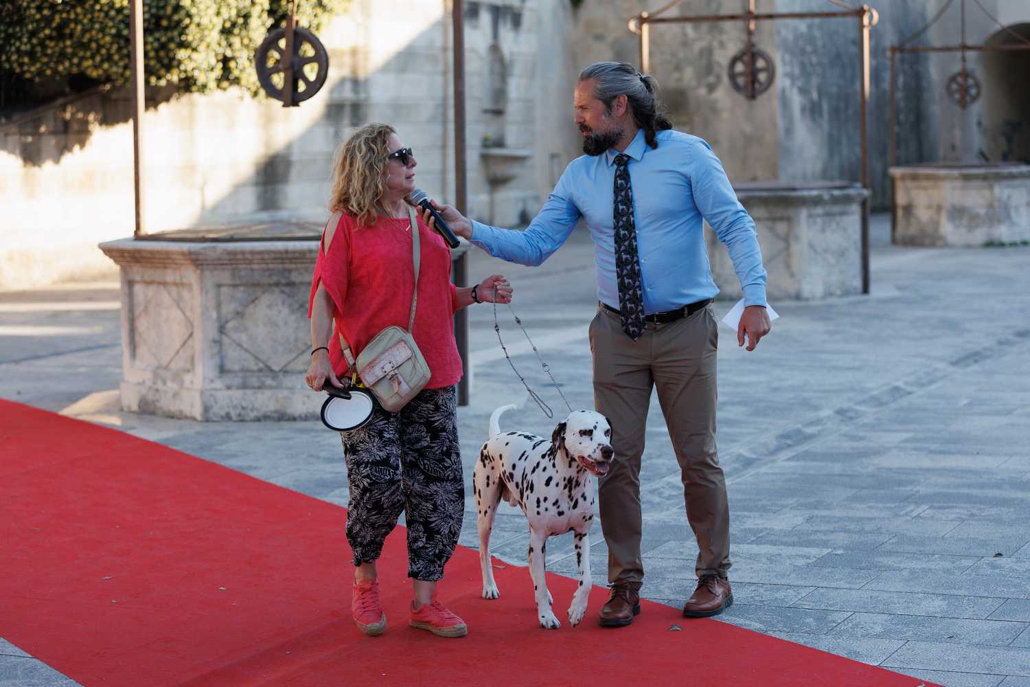 Red Carpet Dalmatian Walk @Trg pet bunara Red Carpet Dalmatian Walk @Trg pet bunara
