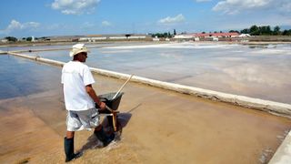 Nin – Povijesni gradic Nin pokraj Zadra za svoju prepoznatljivost ima nadaleko poznatu i najstariju hrvatsku solanu. Pod geslom “Prica o soli…” i dan danas se sol proizvodi na tradicionalan nacin. Photo: Damir Spehar/PIXSELL Nin – Povijesni gradic Nin pokraj Zadra za svoju prepoznatljivost ima nadaleko poznatu i najstariju hrvatsku solanu. Pod geslom “Prica o soli…” i dan danas se sol proizvodi na tradicionalan nacin. Photo: Damir Spehar/PIXSELL
