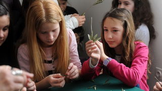 Zadar, 190313.
U prostoru gradske straze organizirana je radionica izrade maslinovih grancica za osnovnoskolce.
Na fotografiji: detalj s radionice.
Foto: Luka Gerlanc / CROPIX Zadar, 190313.
U prostoru gradske straze organizirana je radionica izrade maslinovih grancica za osnovnoskolce.
Na fotografiji: detalj s radionice.
Foto: Luka Gerlanc / CROPIX