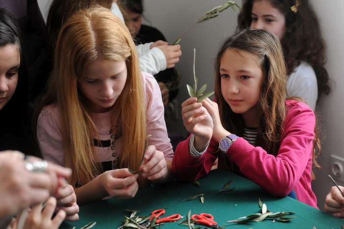 Zadar, 190313.
U prostoru gradske straze organizirana je radionica izrade maslinovih grancica za osnovnoskolce.
Na fotografiji: detalj s radionice.
Foto: Luka Gerlanc / CROPIX Zadar, 190313.
U prostoru gradske straze organizirana je radionica izrade maslinovih grancica za osnovnoskolce.
Na fotografiji: detalj s radionice.
Foto: Luka Gerlanc / CROPIX