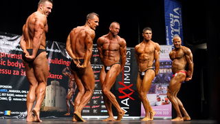 Zadar, 270413.
Narodno kazaliste, Siroka ulica. Zadar je po prvi put domacin Prvenstva Hrvatske u bodybuildingu i fitnessu u organizaciji BBK Hulk. Prvenstvo se odrzalo u HNK Zadar. 
Foto: Jure Miskovic / CROPIX