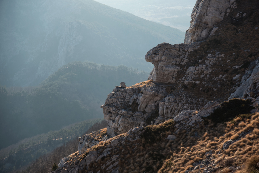 Od Velikog Rujna, preko Rujanske kose do Višerujna…