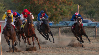 Polača: 14. Međunarodne konjičke utrke “Oluja 95”, Foto: Leo Banić Polača: 14. Međunarodne konjičke utrke “Oluja 95”, Foto: Leo Banić