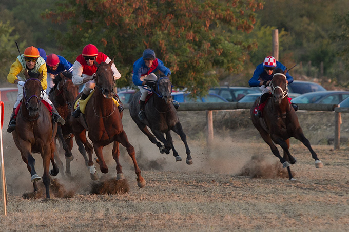 Polača: 14. Međunarodne konjičke utrke “Oluja 95”, Foto: Leo Banić Polača: 14. Međunarodne konjičke utrke “Oluja 95”, Foto: Leo Banić