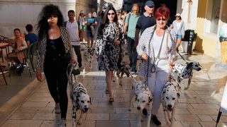 Red Carpet Dalmatian Walk @Trg pet bunara Red Carpet Dalmatian Walk @Trg pet bunara