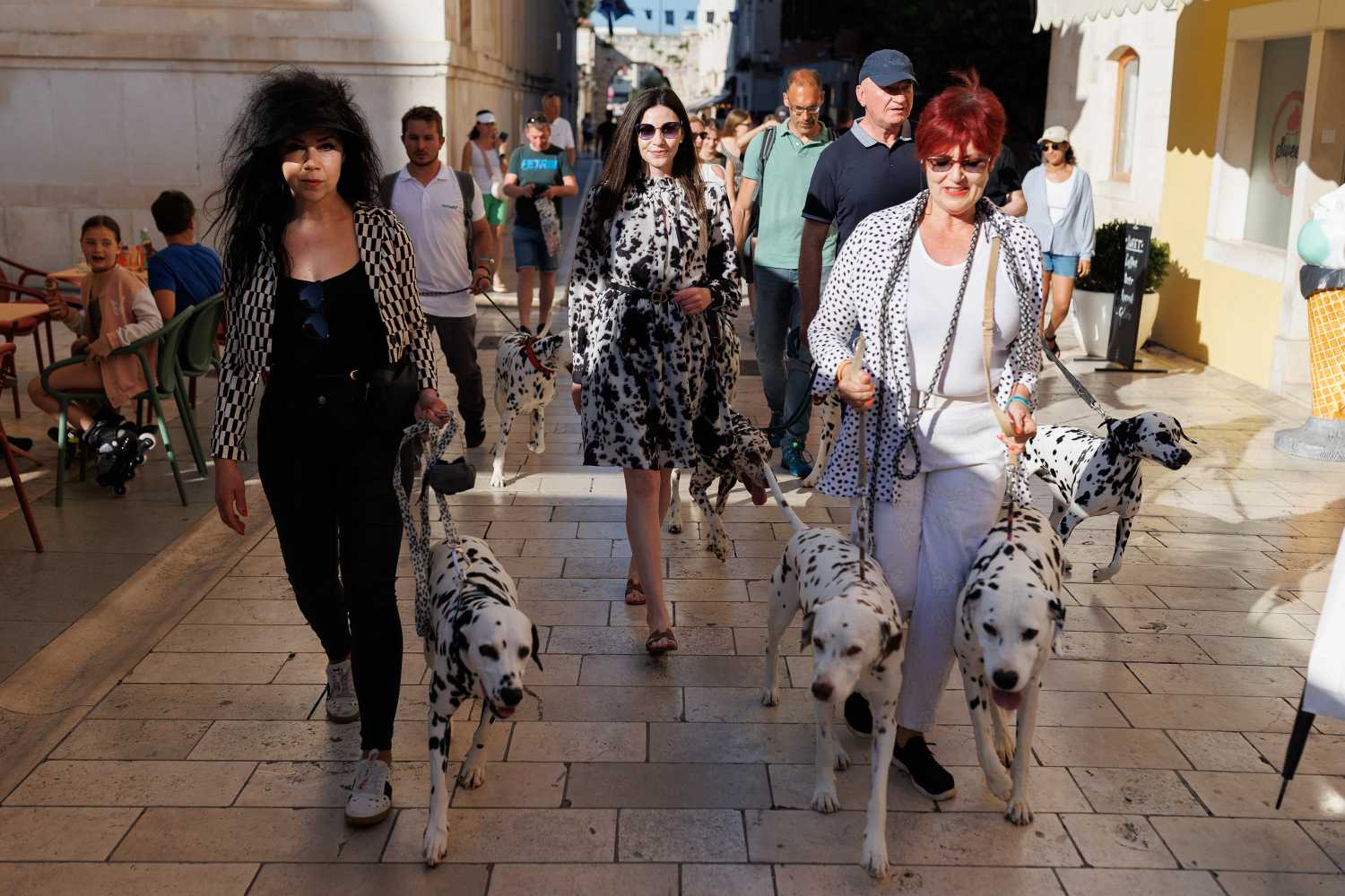 Red Carpet Dalmatian Walk @Trg pet bunara Red Carpet Dalmatian Walk @Trg pet bunara