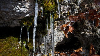 Đir do vrha Zečjak na sjevernom Velebitu, Foto: Leo Banić