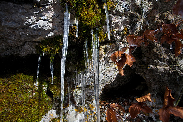 Đir do vrha Zečjak na sjevernom Velebitu, Foto: Leo Banić