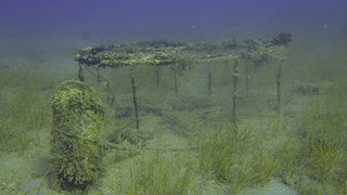 OLYMPUS DIGITAL CAMERA OLYMPUS DIGITAL CAMERA