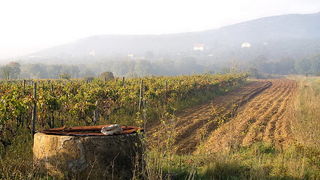 Krajolici zadarskog zaledja