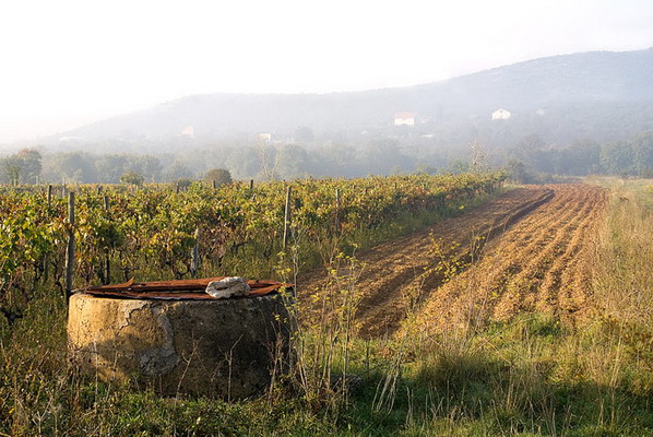 Krajolici zadarskog zaledja