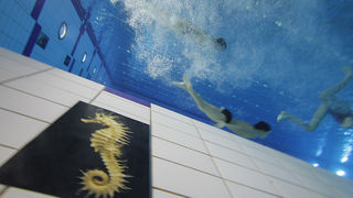 SC Višnjik: Podvodna izložba ronilačkog kluba “Roko” SC Višnjik: Podvodna izložba ronilačkog kluba “Roko”