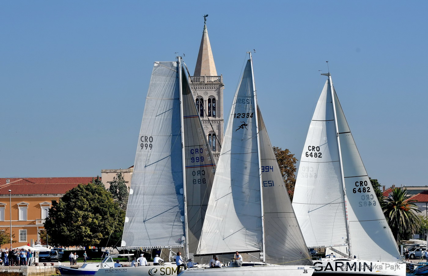 Sva lica “Zadarske koke” Sva lica “Zadarske koke”