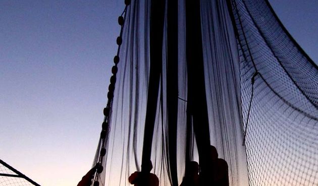 Izložbica Danijel Kolega