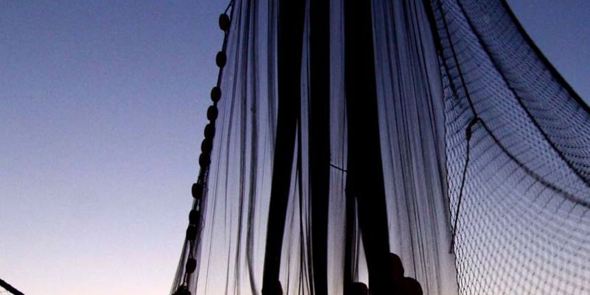 Izložbica Danijel Kolega Izložbica Danijel Kolega