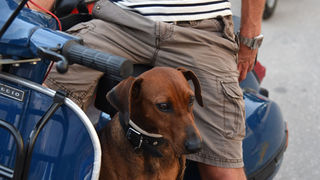 Otvoren Vespa World Days Otvoren Vespa World Days