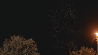 Prljavo kazalište @ Vrška noć 2024. Prljavo kazalište @ Vrška noć 2024.