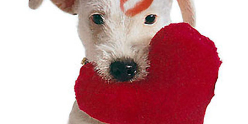 Valentinovo i kućni ljubimci (Foto: abcnews.com) Valentinovo i kućni ljubimci (Foto: abcnews.com)