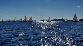 Regata Zadarska Koka 2015. Regata Zadarska Koka 2015.