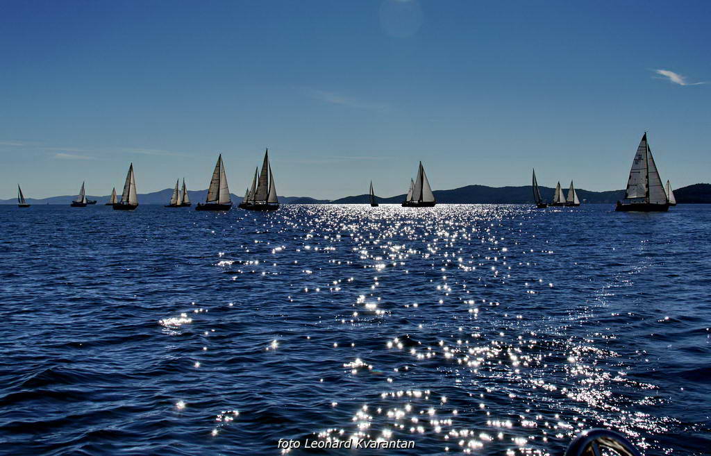 Regata Zadarska Koka 2015. Regata Zadarska Koka 2015.