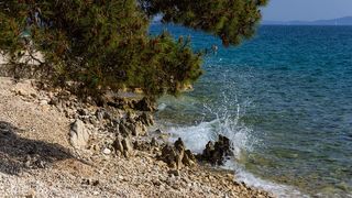 Nedjeljnja šetnja od Dikla do Pinije, Foto: Mladen Radolović Mrlja Nedjeljnja šetnja od Dikla do Pinije, Foto: Mladen Radolović Mrlja