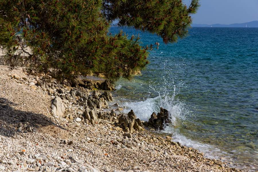 Nedjeljnja šetnja od Dikla do Pinije, Foto: Mladen Radolović Mrlja Nedjeljnja šetnja od Dikla do Pinije, Foto: Mladen Radolović Mrlja
