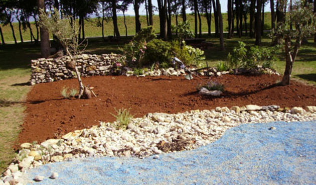 Image 1203177 (auto)