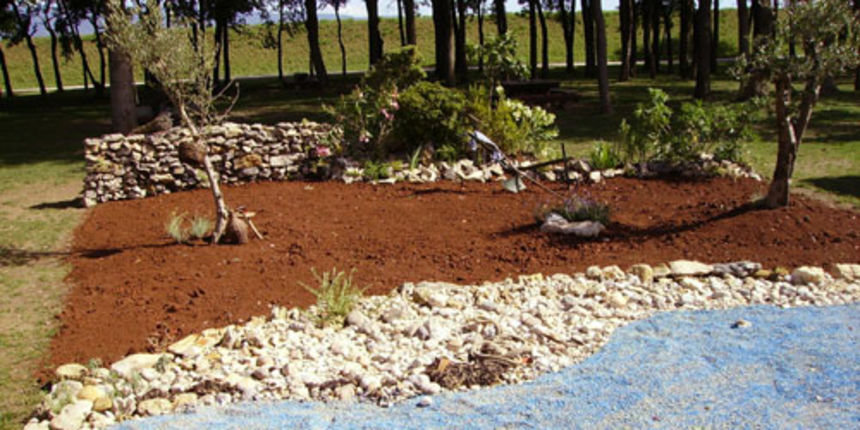 Image 1203177 (auto)