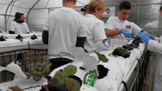 OLYMPUS DIGITAL CAMERA OLYMPUS DIGITAL CAMERA