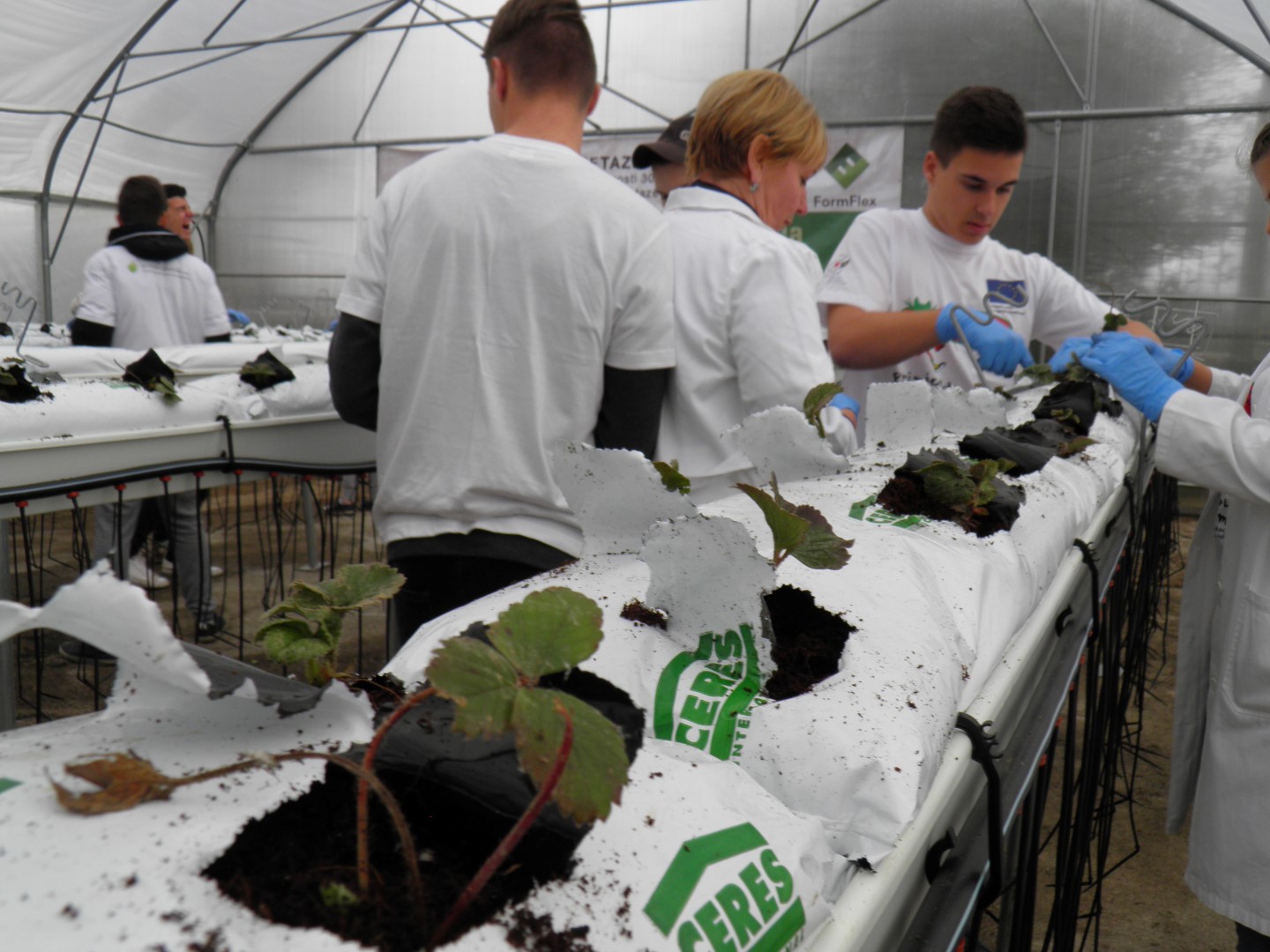 OLYMPUS DIGITAL CAMERA OLYMPUS DIGITAL CAMERA