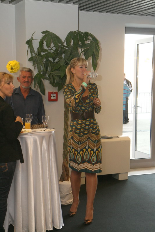 Davis Cup: Iz Vip salona i VIP lo